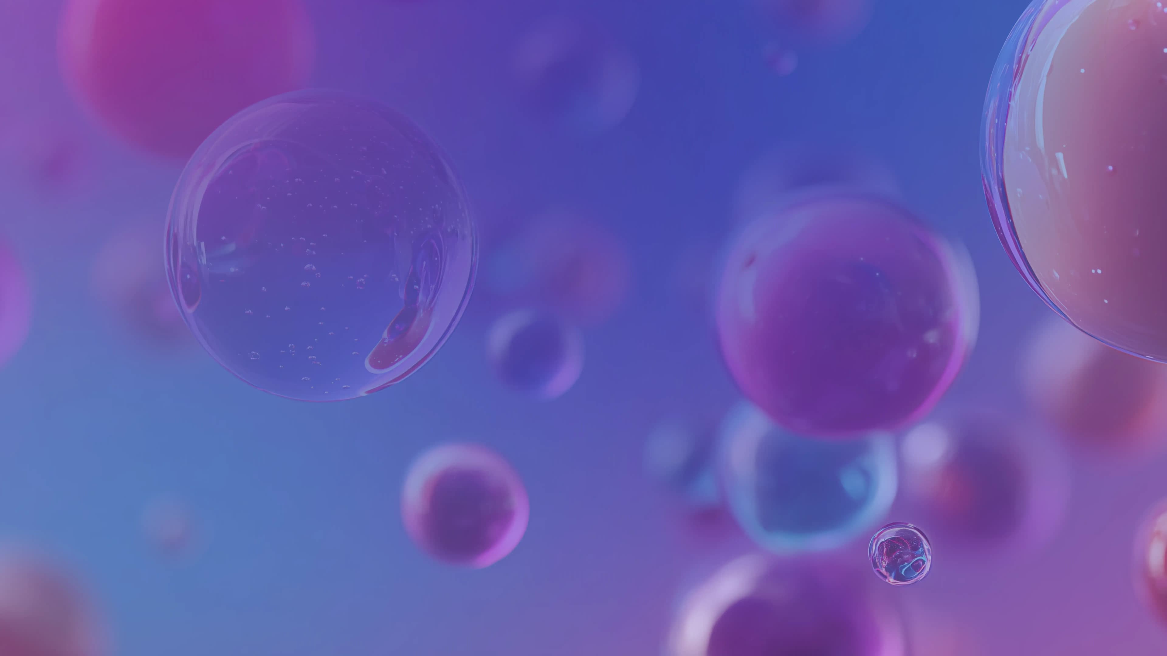 Floating glossy bubbles in pink and violet on a blue gradient